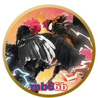 mb66b